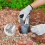 Bulb Planter,Bulbs Transplanter Designed for Automatic Soil Release with Depth  for Dgging Holes and Planting Tool 4