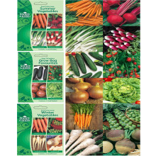 Grow Your Own Seed Kit of 12 Vegetable Seed Varieties Cucumber, Tomato, Onion, Lettuce, Beetroot, Radish, Brussels, Parsnip, Swede Variety Pack