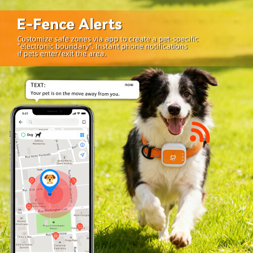 (S) GPS Tracker για Κατοικίδια: Ειδοποιήσεις Δόνησης, Πολλαπλές Συσκευές, Απεριόριστ 2