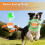 (S) Pet Tracker: Vibration, Multi-Pet Support, Unlimited Virtual Fence, 5 Positioning Modes, 1300mAh 4