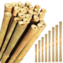 Bamboo Canes 2ft, 3, 4, 5, 6, 7 & 8ft – Natural Garden Bamboo Sticks for Plants From sizes from 10 to 250, Strong Plant Support Sticks, Bamboo Poles