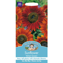 Mr Fothergill's SUNFLOWER Velvet Queen Seeds