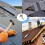 Steel Roofing Felt Nails (280pcs) 15mm Pins Countersunk Head Felt Nails 4