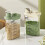 Transparent Kitchen Grain Storage Container with Handle, 2800ml, Moisture-Proof and Insect-Resistant Green 6