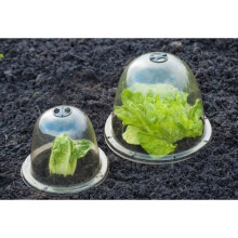 Set of 3 plant cloches, 25 cm diameter, with ventilation system and anchoring