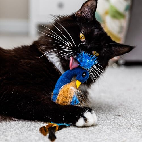 Ancol Peacock Cat Toy 1