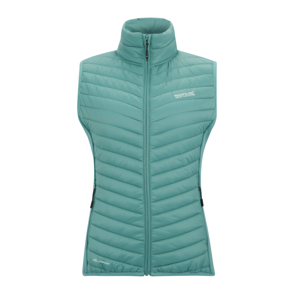 Regatta (10 Uk, Ivy Moss) Womens/Ladies Andreson Hybrid Gilet Multicoloured