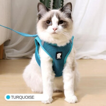 Adjustable Mesh Cat Harness and Leash Set - Leashes and Collars - Turquoise-XS - Blue