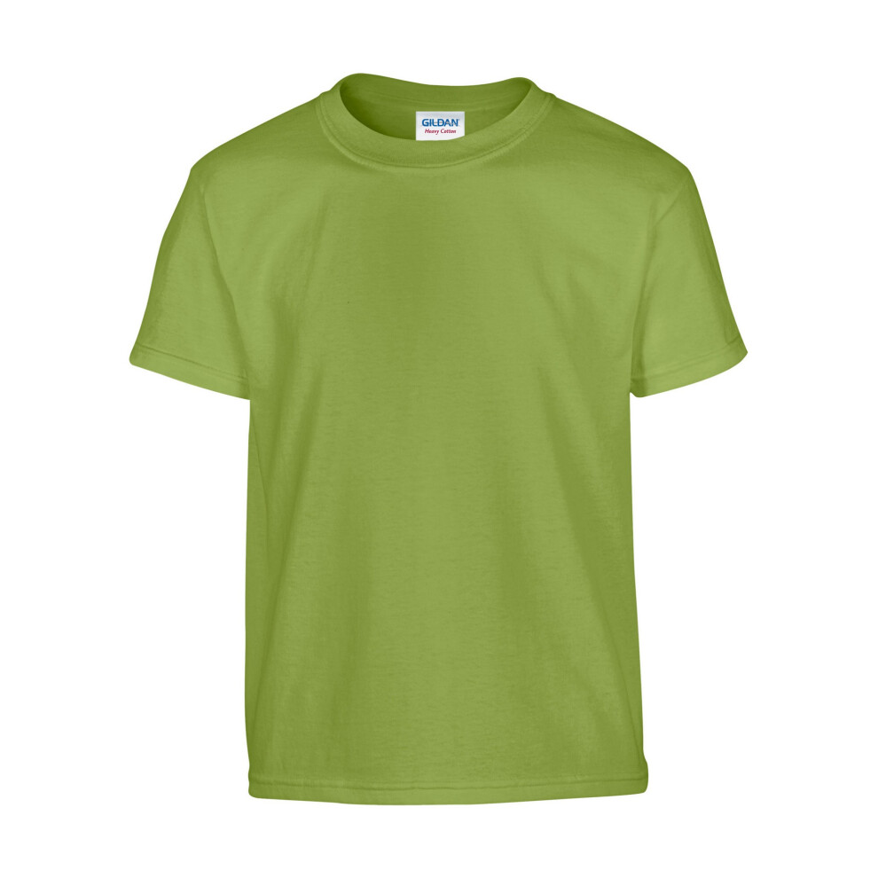 Gildan (Xl, Kiwi) Childrens/Kids Heavy Cotton T-Shirt Multicoloured