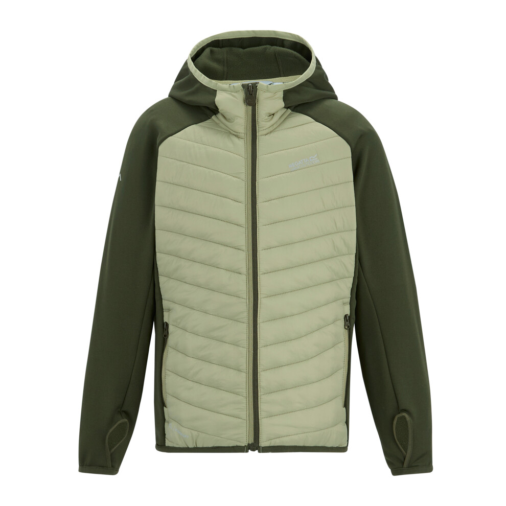 Regatta (6-7 Years, Dark Khaki/Light Sage) Childrens/Kids Andreson Hybrid Padded Jacket Multicoloured