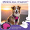 Adjustable Reflective Dog Harness, No-Pull Vest in Pink Red with Front Clip Leash Hook 4