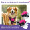 Adjustable Reflective Dog Harness, No-Pull Vest in Pink Red with Front Clip Leash Hook 3