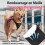 Adjustable Dog Harness with Lift Handle for Easy Control, Soft Pink, Comfortable Pet Harness 5