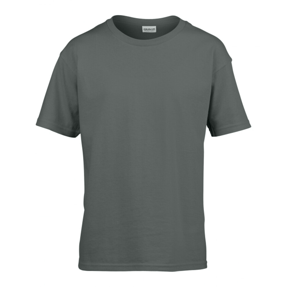 Gildan (3Xl, Storm ) Mens Softstyle T-Shirt Grey