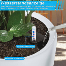 6er-Pack Wasserstandsanzeiger für Pflanzen, Großer Wasserstandsanzeiger für Hydrokultur, Bewässerungsanzeiger, Zimmerpflanzen
