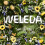 Weleda Weleda White Mallow Nappy Change Cream - 50ml 6