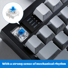 Keyboard Switches, 100 Pcs Blue Keyboard Clicker, Transparent Cover Blue Mechanical Keyboards Switches, Suitable for Led Gaming Keyboards Diy Kits