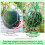 20-Pack Melon Hammock Net for Garden Support, Protects Watermelons, Squash, Cantaloupes 3