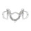 (6in, Silver) Shires Horse Kimblewick Bit 1