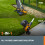 WORX WORX WG163E 20V PowerShare Cordless Grass Trimmer 30cm 4