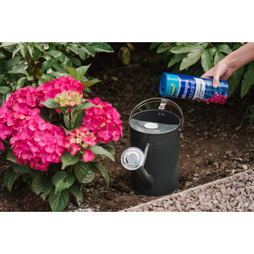 Westland Westland Hydrangea Colourant, 500 g 2