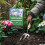 Westland Westland Growmore 4Kg 4