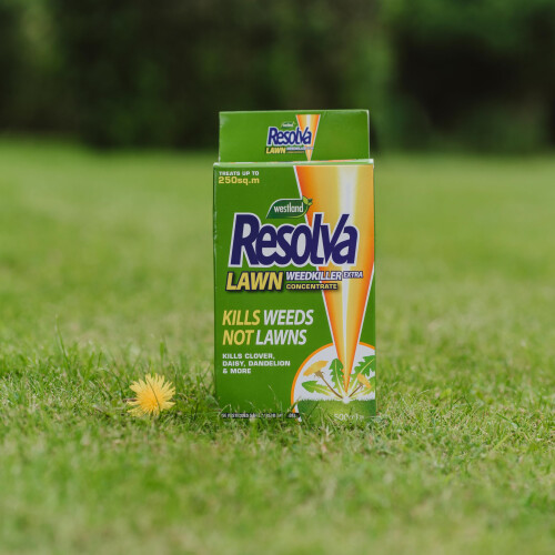 Resolva Resolva Concentrate Lawn Weedkiller Extra, 500 ml 2