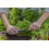 Gardena Gardena Micro-Drip-System Master Unit 1000: Starting unit for the automatic irri 6