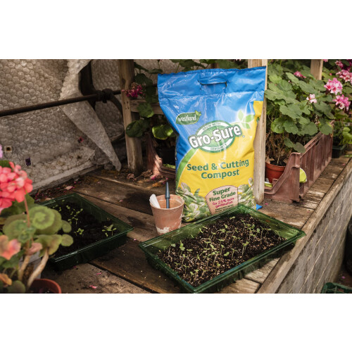 Gro-Sure Westland Seed & Cutting Compost Bale - 20L ( 2