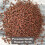 Organic Broccoli Calabrese Sprouting Seeds 250g 2