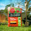 Levington Levington PEAT FREE Multipurpose Compost, 40 Litres, Brown 2
