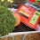 Levington Levington PEAT FREE Multipurpose Compost, 40 Litres, Brown 3