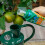Westland Westland Citrus Tree Feed Concentrate, 200 ml 4