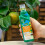 Westland Westland Citrus Tree Feed Concentrate, 200 ml 3