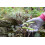 Spear & Jackson Spear & Jackson 56418G Green Garden Snips 3