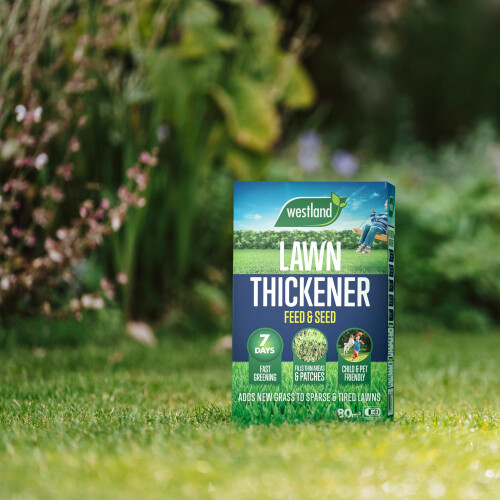 Westland Westland Lawn Thickener 150m2 Box 2