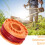 Worx Strimmer Spool Lawn Mower Strimmer Spool Grass Trimmer Spool Replacement Tr 6
