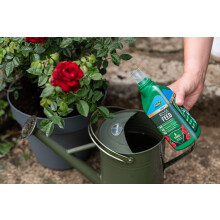Westland Rose Feed & Protect Concentrates 2 in 1 (2 x 500 ml) Green 20100417
