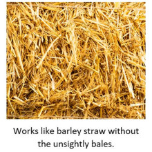 Blagdon Natural Barley Straw Bugs, 1 Litre, Pond Water Treatment, Clears Green Water, Suspended Algae and Blanketweed, Consumes Phosphate, Eats Organ