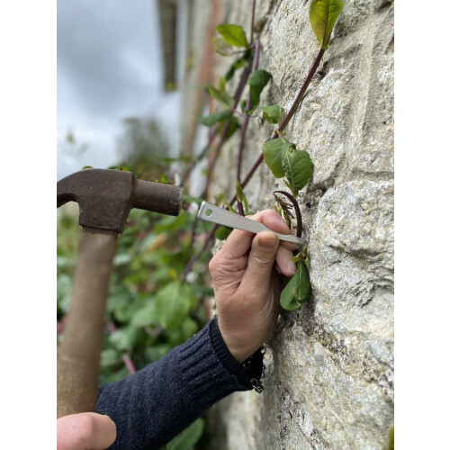 Tildenet 75 mm Vine Eyes 2