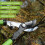 AIRAJ 43-60cm Telescopic Bypass Tree Loppers, Extendable & Extending Garden Lopp 6