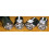 MG Black and Silver Chrome Wheel Valve Dust Caps 2
