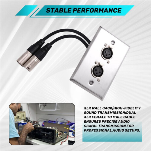 Dual-XLR-Buchse auf XLR-Stecker-Audio-Wanddose 2