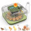 12 Eggs Incubator for Hatching Eggs, Temp and Humidity Control, 360View Auto Water Adding, Egg Candler (EU-PLUG) 1