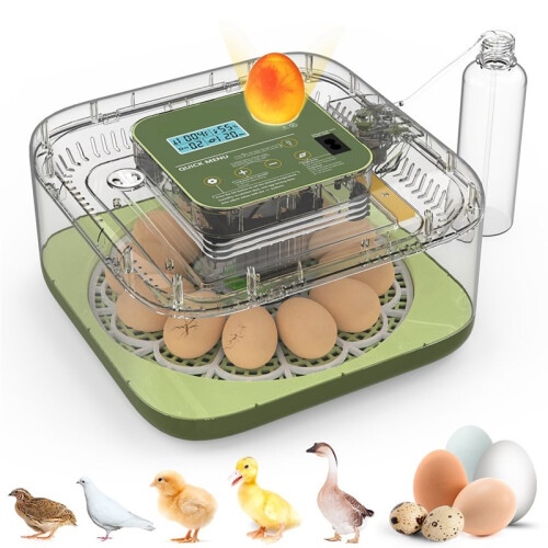 12 Eggs Incubator for Hatching Eggs, Temp and Humidity Control, 360View Auto Water Adding, Egg Candler (EU-PLUG)
