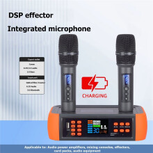 D80 Multi Channel DSP Microphone Anti Whistling Reverb Wireless Microphone Singing Home Microphone US Plug