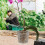 10Pièces Pots Plastique Durable Pour Cactus Orchidées 4