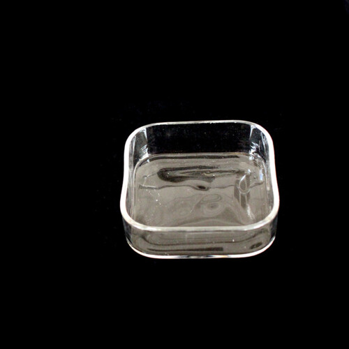 Turtle Feeding Small Animal Feeder Reptile Pet Bowl 2