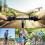 Bicycle Rearview Mirror, Adjustable Rotating Handlebar Mirror, Suitable for Mountain Bikes, Electric Scooters 7