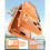 Translucent Orange Phone Case for iPhone 17 Pro 6.3 Inch Shockproof Scratch Resistant Protective Cover 2
